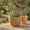 Handwoven Rattan Flower Basket Planter | Wicker Cachepot for Potted Plants, Flower Shop Arrangements & Boho Storage Basket