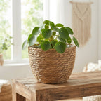 Handwoven Rattan Flower Basket Planter | Wicker Cachepot for Potted Plants, Flower Shop Arrangements & Boho Storage Basket